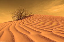 sahara duna - Fotografia del deserto del Sahara