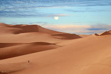 sahara murzuq libia - Fotografia del deserto del Sahara