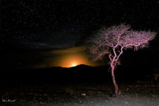 sudan notturna - Fotografia del deserto del Sahara