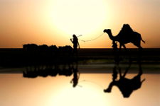 cammelli dancalia - Fotografia del deserto del Sahara