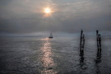 Fotografia di Garda Controsole